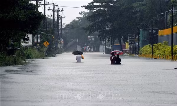 Sri Lanka: Số người chết do bão Ditwah tăng mạnh, vẫn có hàng trăm người mất tích