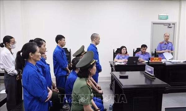 Xử phạt 12 bị cáo trong đường dây buôn lậu hơn 900 tỷ đồng qua biên giới