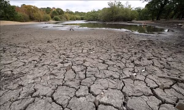El Niño có thể khiến nhiệt độ toàn cầu lập kỷ lục, đe dọa hoạt động sản xuất
