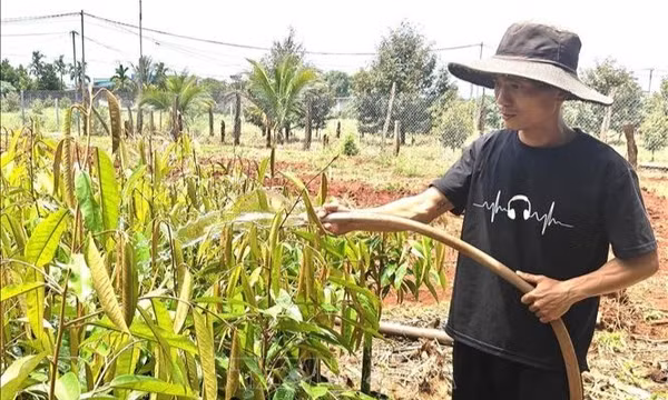 Vốn ưu đãi tiếp sức người sau cai nghiện tái hòa nhập cộng đồng
