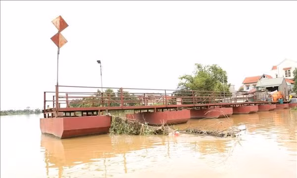 Ninh Bình: Lũ sông Hoàng Long đạt đỉnh, nguy cơ ngập lụt tại nhiều địa phương
