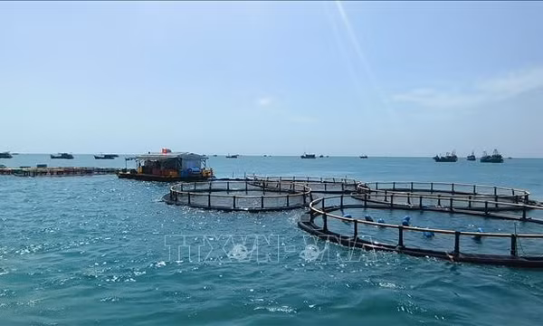 Ưu tiên nâng tầm cho dự báo biển