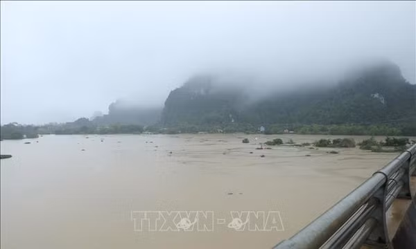 Ninh Bình: Lũ sông Hoàng Long đạt đỉnh, nguy cơ ngập lụt tại nhiều địa phương
