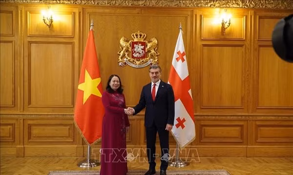 Phó Chủ tịch nước Võ Thị Ánh Xuân hội kiến lãnh đạo cấp cao Gruzia