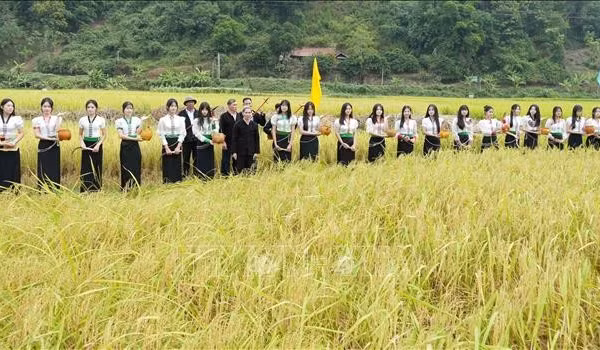 Bảo tồn bản sắc văn hóa dân tộc Thái qua Lễ hội Kin Lẩu Khẩu Mẩu