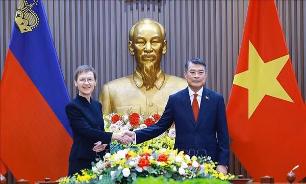 Thủ tướng Lê Minh Hưng và Thủ tướng Liechtenstein Brigitte Haas hội đàm