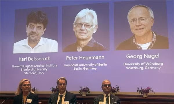 Giải Nobel Y Sinh 2026: Giải mã 'công tắc' điều khiển tế bào thần kinh bằng ánh sáng