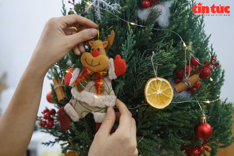 Bộ đôi cây cảnh mini 'đắt' khách mùa Giáng sinh