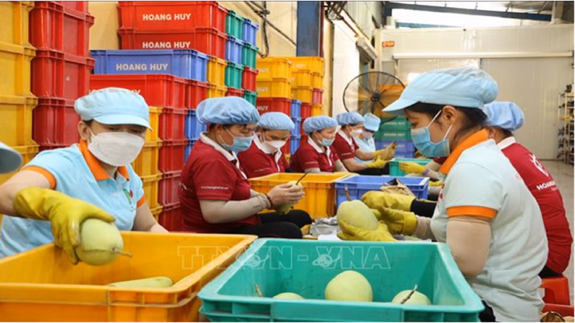 Ngoại giao kinh tế đưa nông sản Việt vươn xa