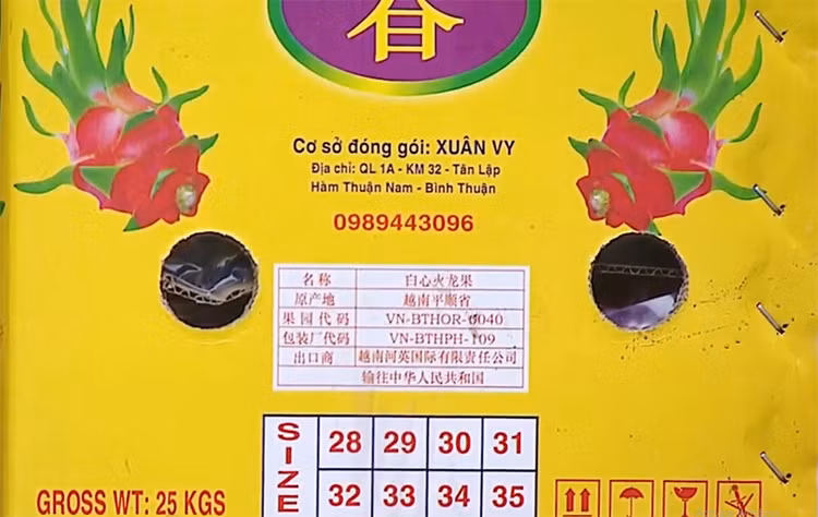 Trung Quốc giảm nhập khẩu thanh long Việt Nam