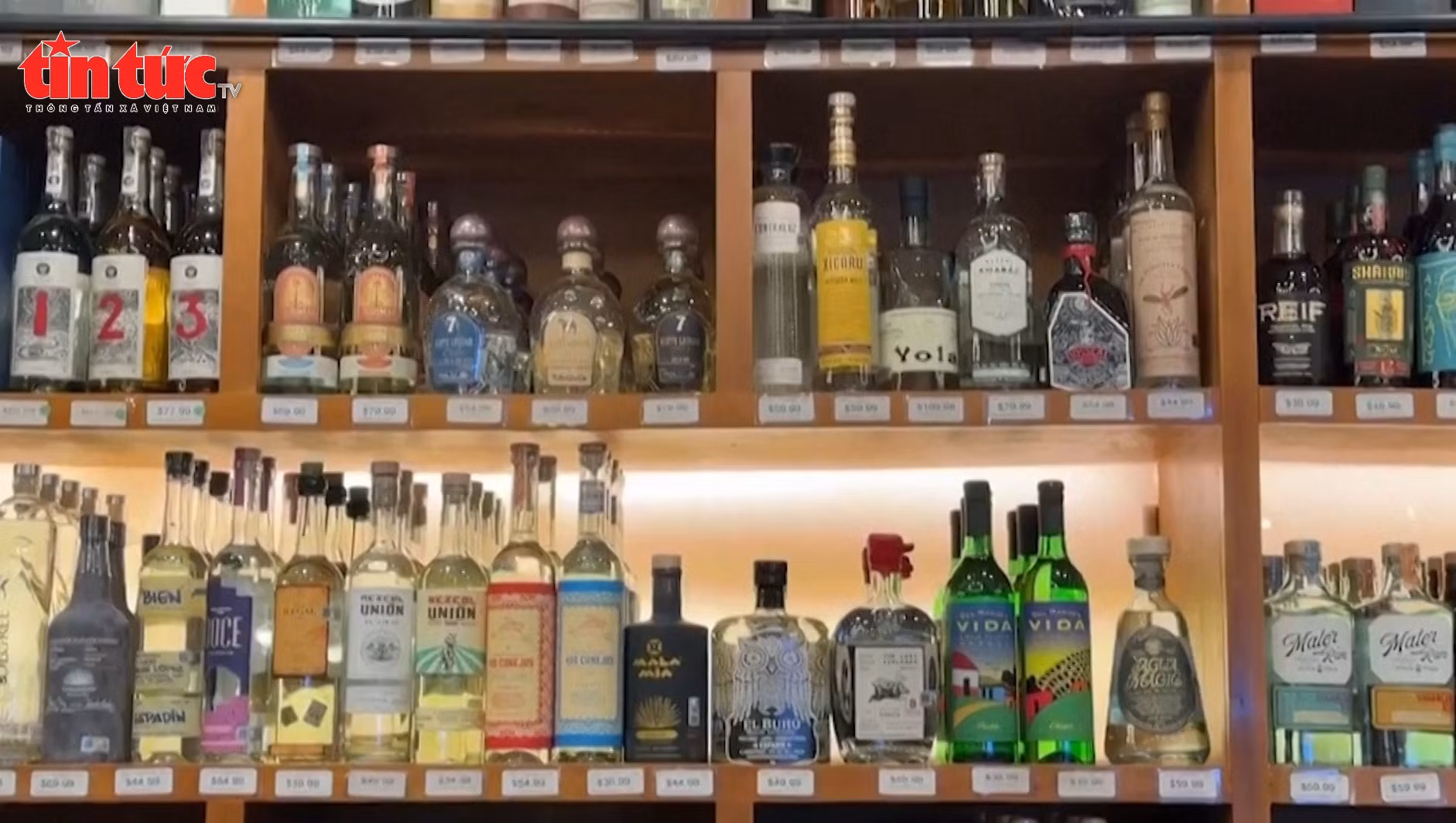 Ngành rượu tequila đứng trước rủi ro từ thuế của ông Trump
