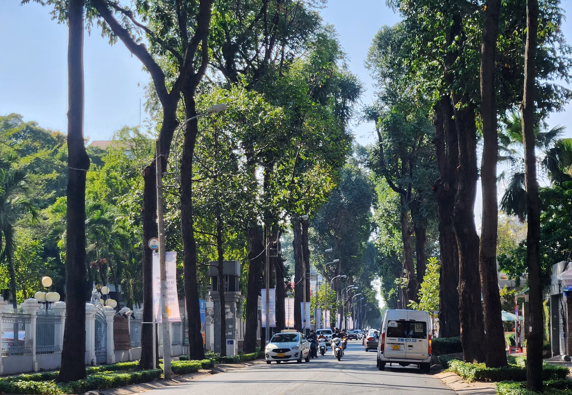 Những con đường rợp bóng cây xanh che mát cho người đi đường.