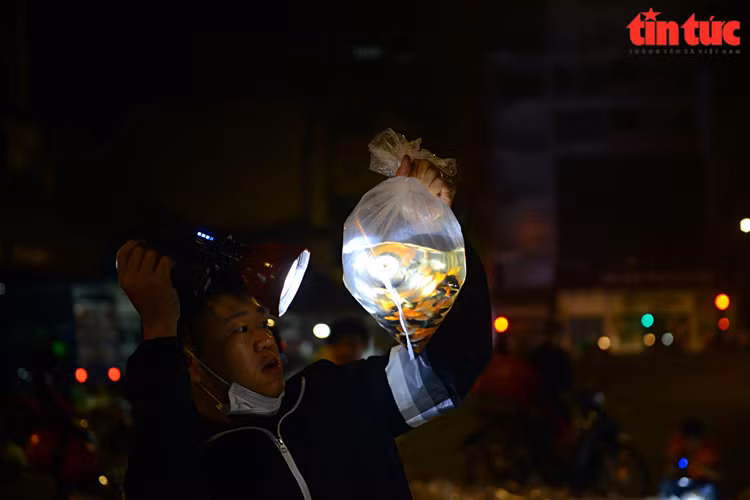 Người dân rọi đèn mua cá.