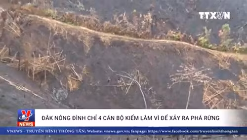 Đắk Nông đình chỉ 4 cán bộ kiểm lâm vì để xảy ra phá rừng