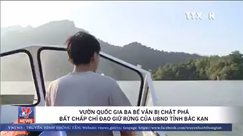 Vườn quốc gia Ba Bể vẫn bị chặt phá bất chấp chỉ đạo giữ rừng