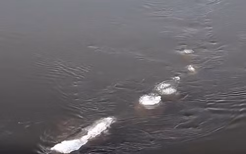 Bất ngờ với clip nghi quái vật hồ Loch Ness “di cư” đến Alaska