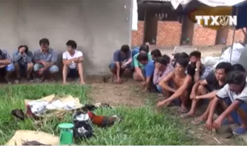 Kiên Giang triệt phá ổ đá gà ăn tiền 'khủng'