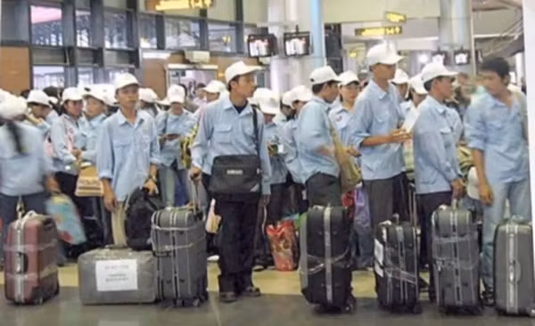Cảnh giác với các mánh khóe lừa xuất khẩu lao động