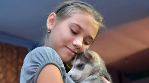 Tổng thống Putin tặng cún husky làm quà năm mới 