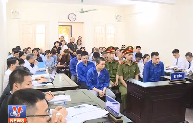 Xét xử Tổng Giám đốc CIMCO lừa đảo chiếm đoạt tài sản