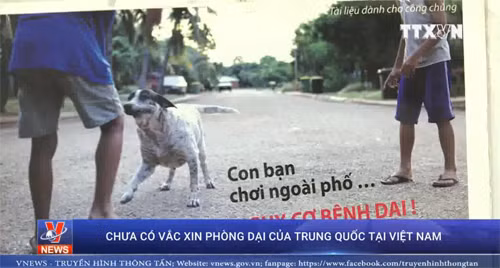 Chưa có vắc xin phòng dại của Trung Quốc tại Việt Nam