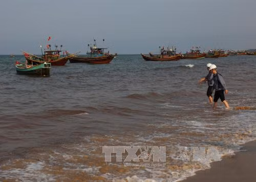 Video nước ven biển Quảng Bình đổi màu