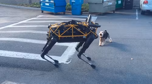 Cuộc đối đầu "không khoan nhượng" giữa chó robot và chó nhà