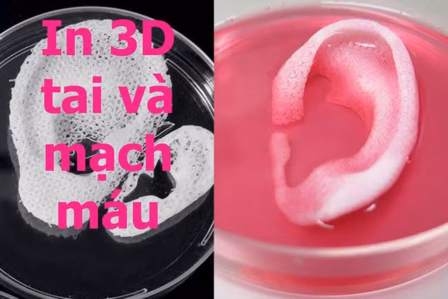 Khám phá phòng thí nghiệm in 3D bộ phận cơ thể người