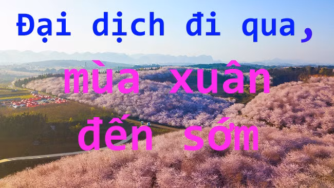 Mùa Xuân đến sớm tại Trung Quốc khi đỉnh dịch đi qua