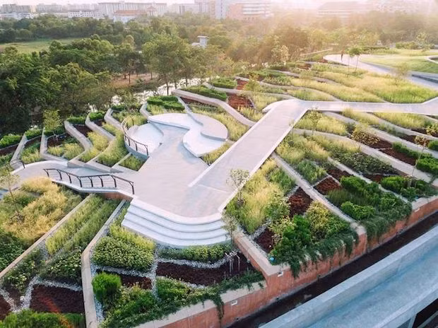 Trang trại trên mái nhà lớn nhất châu Á
