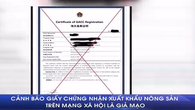 Cảnh báo giả mạo giấy chứng nhận xuất khẩu nông sản sang Trung Quốc