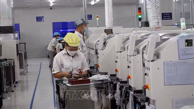 Nhiều doanh nghiệp Việt ngừng chuyển đổi số
