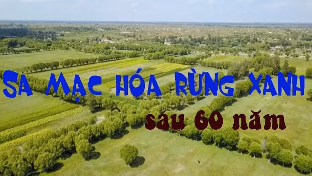 Xem nông dân Trung Quốc biến sa mạc khô cằn thành rừng xanh sau 6 thập kỷ