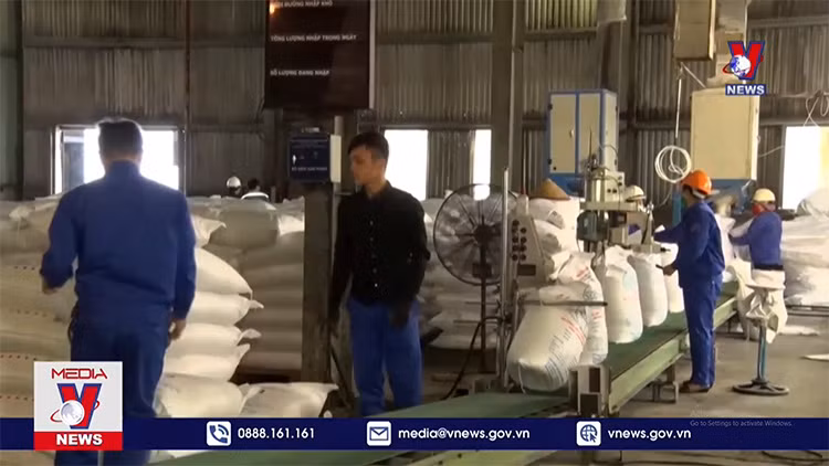 Đường lậu giá rẻ 'tấn công' đường trong nước