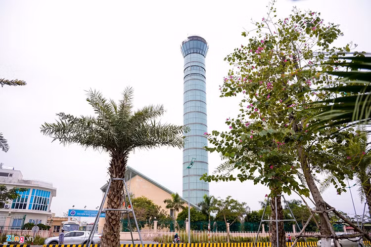 Đình chỉ kíp trực không lưu để máy bay suýt va chạm