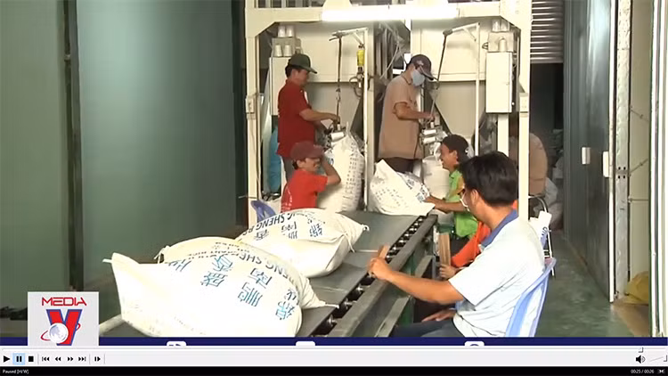 Giá gạo Việt Nam vượt đối thủ cạnh tranh