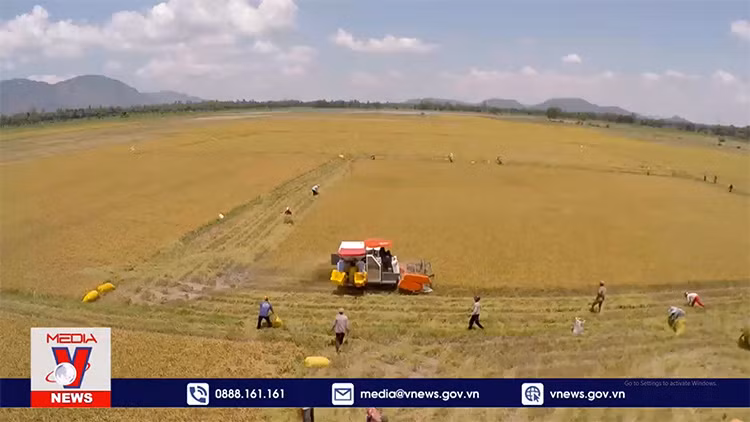 Bộ Nông nghiệp và Phát triển nông thôn khẳng định đảm bảo an ninh lương thực