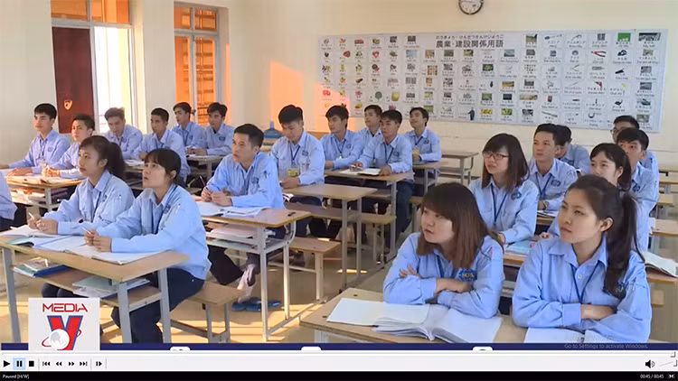 Hai thị trường lao động lương cao thu hút nhiều người Việt Nam