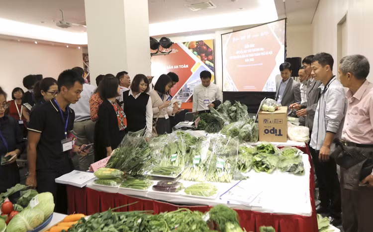 Mở rộng tiềm năng tiêu thụ và xuất khẩu hàng hóa Việt thông qua chuỗi siêu thị AEON 