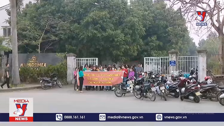 Gian nan xử lý Doanh nghiệp nợ đọng Bảo hiểm xã hội