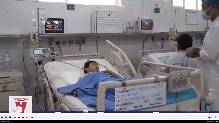 Hai mẹ con nhập viện nghi do ngộ độc nấm mọc trên xác nhộng ve sầu