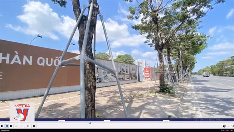 Nhiều cây xanh ở Hà Nội vẫn bị 'đeo gông'