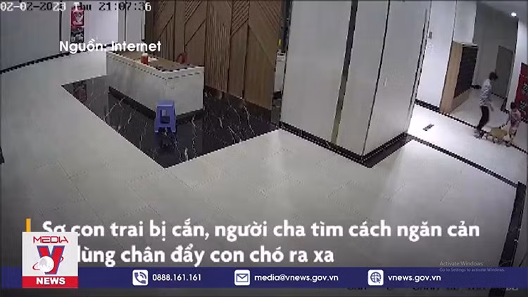 Chủ chó thả rông đánh cư dân nhập viện