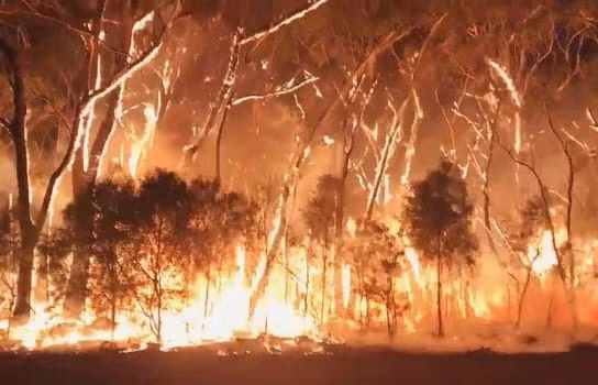 Lượng CO2 từ cháy rừng ở Australia tương đương thảm họa cháy rừng Amazon