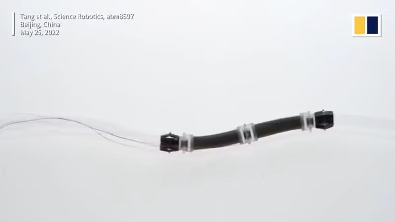 Trung Quốc phát triển robot giun đất có thể kiểm tra động cơ máy bay