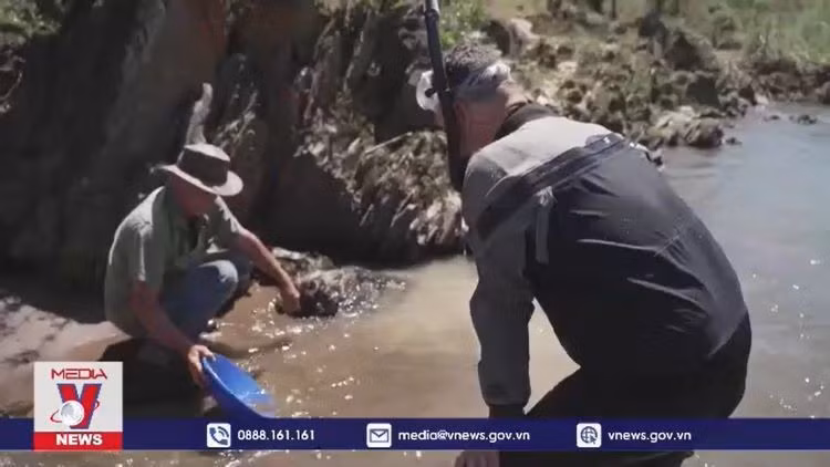 Người dân California đổ xô đi đào vàng sau bão
