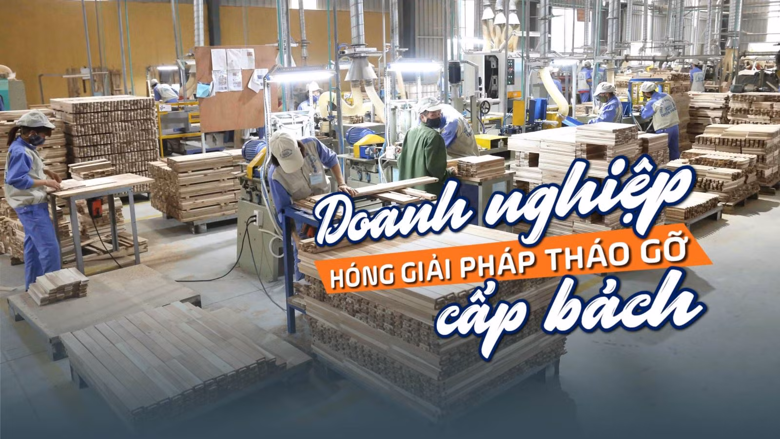 Tin tức TV: Doanh nghiệp 'hóng' giải pháp tháo gỡ cấp bách