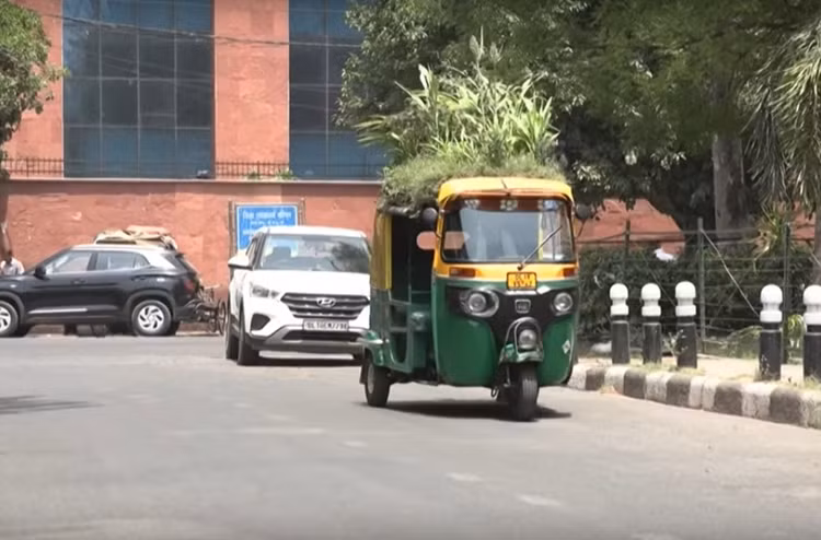 Độc đáo 'vườn cây tránh nóng' trên nóc xe lam tại Ấn Độ