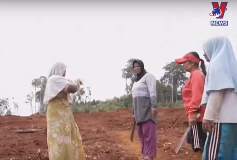 Nông dân Indonesia quyết giữ đất khi khai thác niken để sản xuất pin xe điện bùng nổ