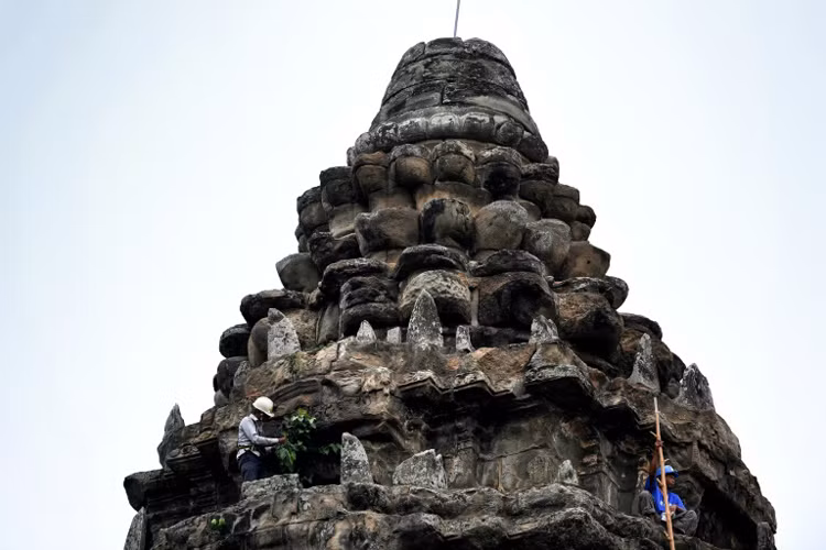 'Ninja' làm vườn tại đền Angkor Wat